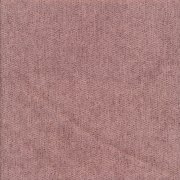 Fossil 14